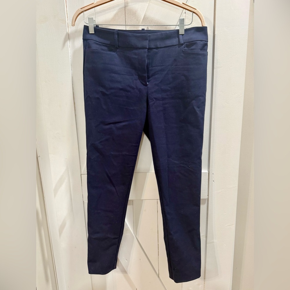 LOFT Women’s Navy Blue Skinny Leg Pants